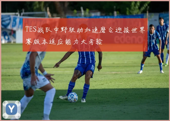 TES战队中野联动加速磨合迎接世界赛版本适应能力大考验